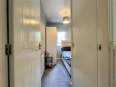 Picture 12